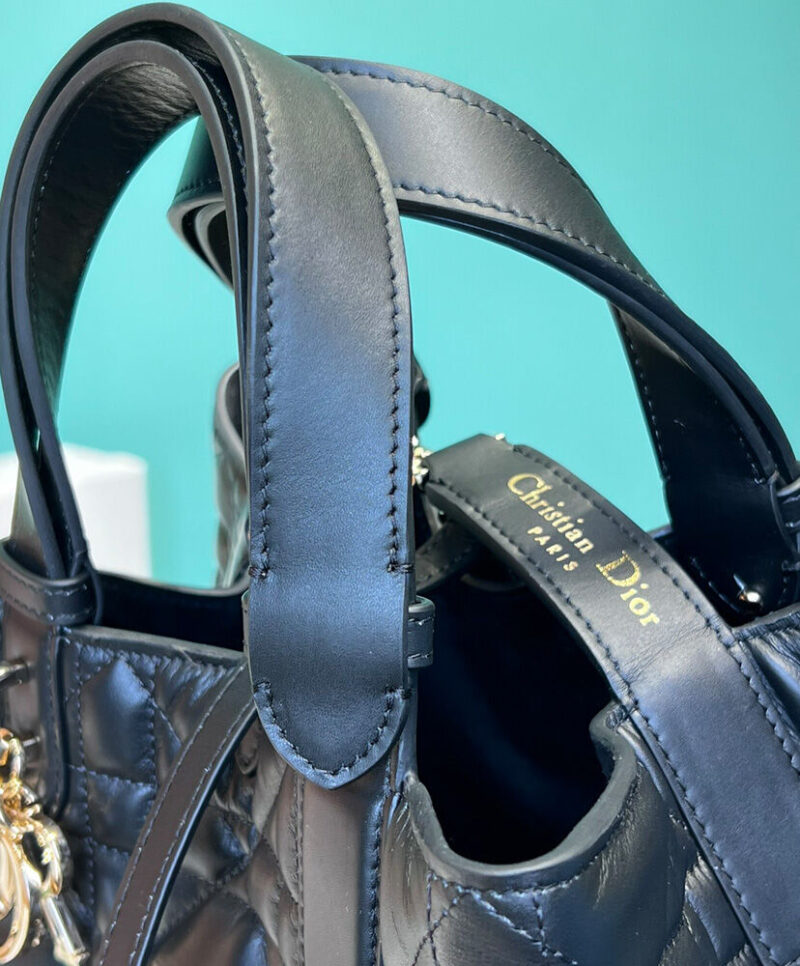 Christian Dior Medium Dior Toujours Bag